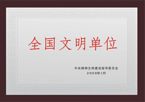 公司荣誉